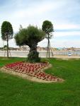 Blumeninsel Caorle