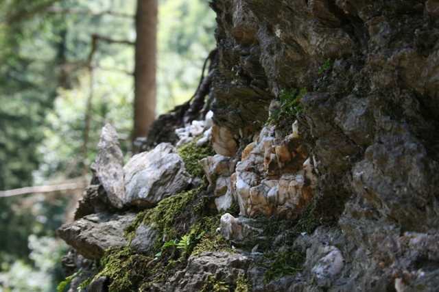 Felsen am Lanser See