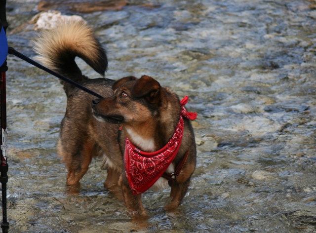 Otto im Wasser