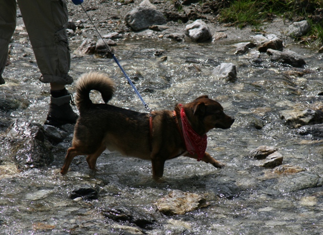 Otto im Wildbach