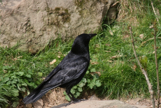 Alpenzoo Innsbruck