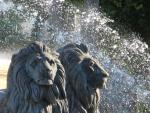 Aix en Provence - Fontaine du Roi René