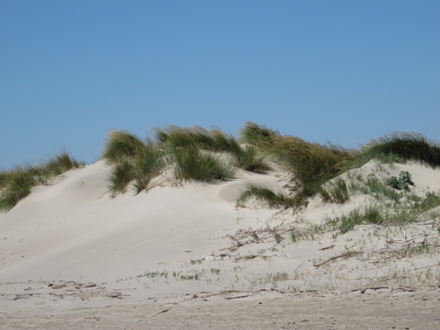 Camargue - Strand von Piémanson 