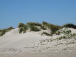 Camargue - Strand von Piémanson 